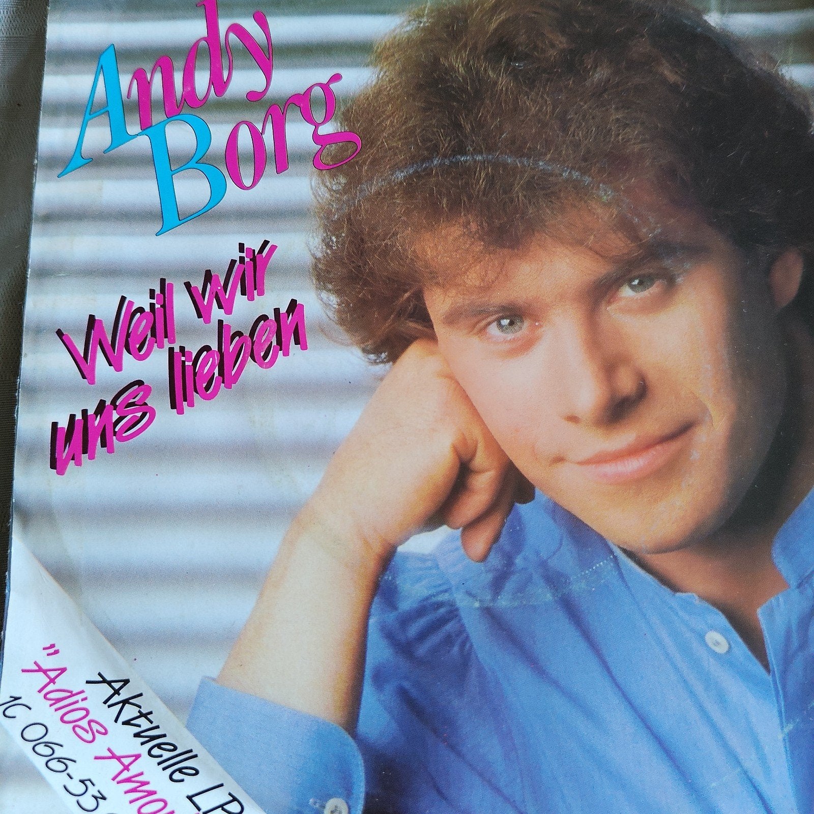 Andy Borg - Weil wir uns lieben (Single), Ophalen of Verzenden, Gebruikt, 7 inch
