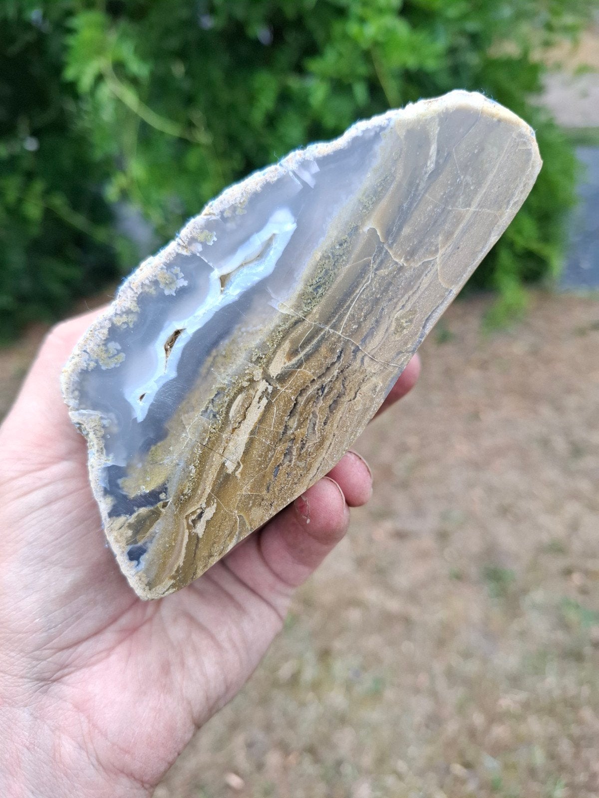 Versteend hout met chalcedoon gepolijst, Ophalen of Verzenden, Mineraal