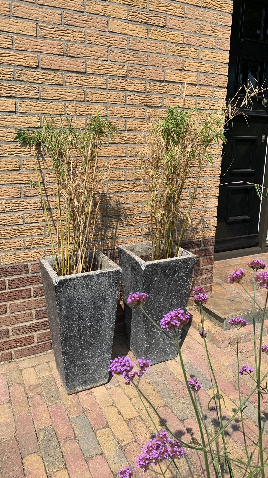 Hoge bloempotten graniet met bamboe, Tuin en Terras, Ophalen, Steen, Gebruikt, Balkon