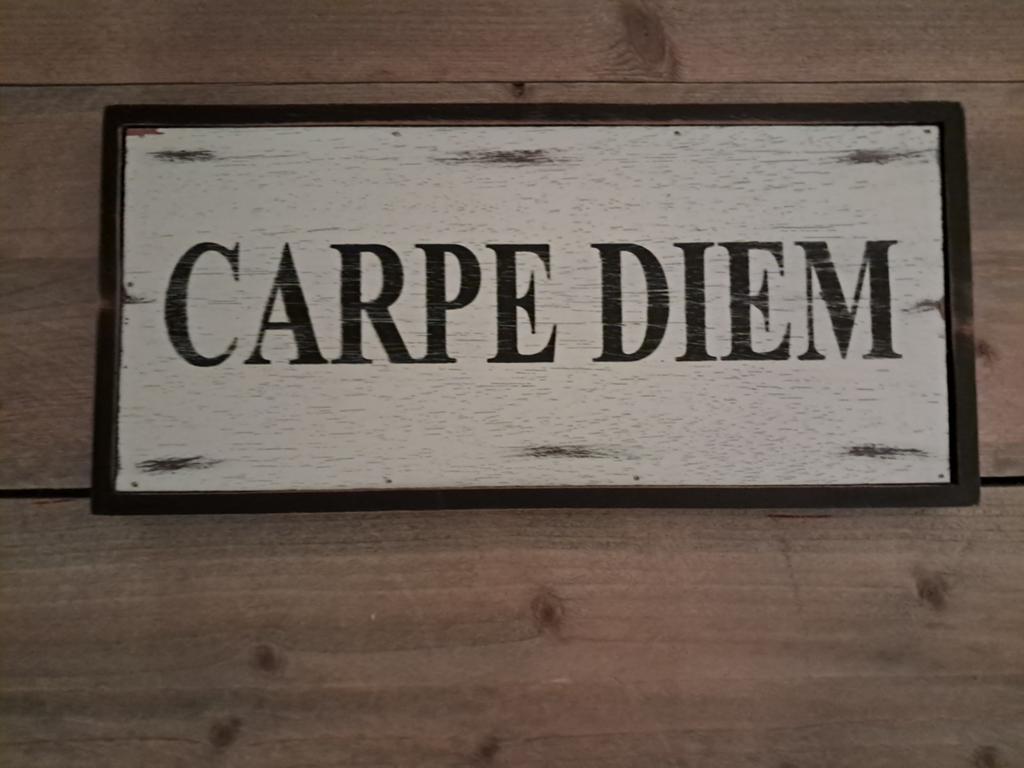 Tekstbord hout Carpe Diem, Ophalen of Verzenden