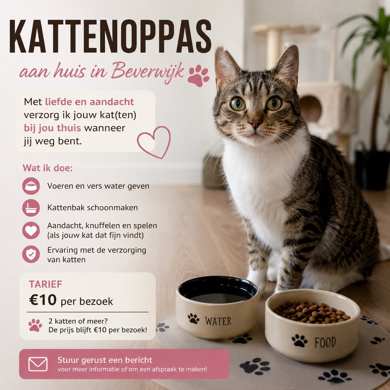 Kattenoppas Beverwijk Heemskerk, Ophalen of Verzenden, Nieuw
