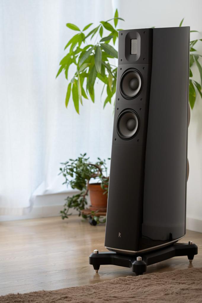 Raidho TD2.2, Audio, Tv en Foto, Luidsprekers, Zo goed als nieuw, Front, Rear of Stereo speakers, 120 watt of meer, Overige merken
