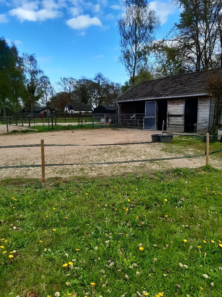 Plek vrij op mijn fijne locatie in Emst, Stalling, 2 of 3 paarden of pony's