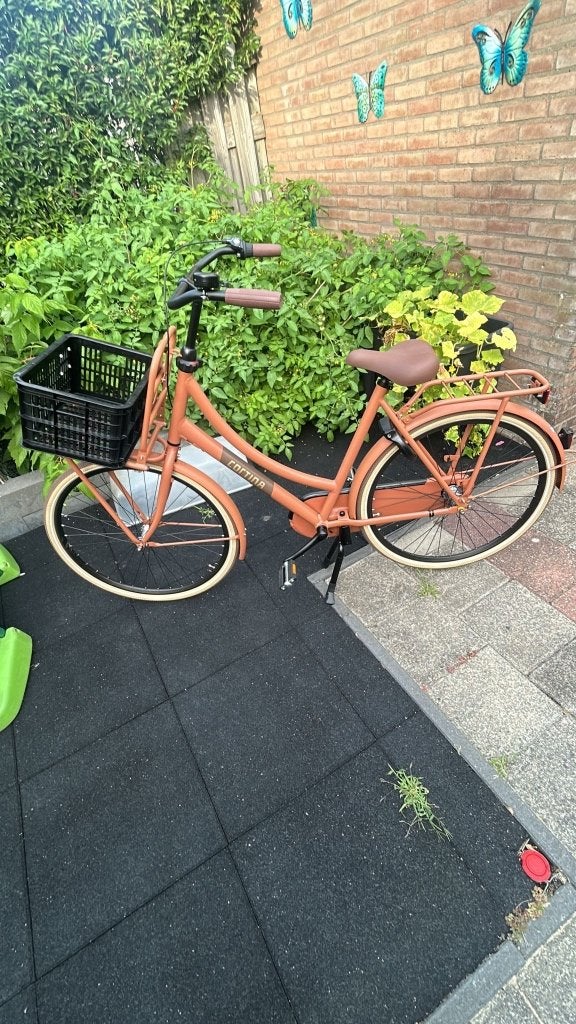 Damesfiets, Terugtraprem, Versnellingen, Nieuw, Ophalen