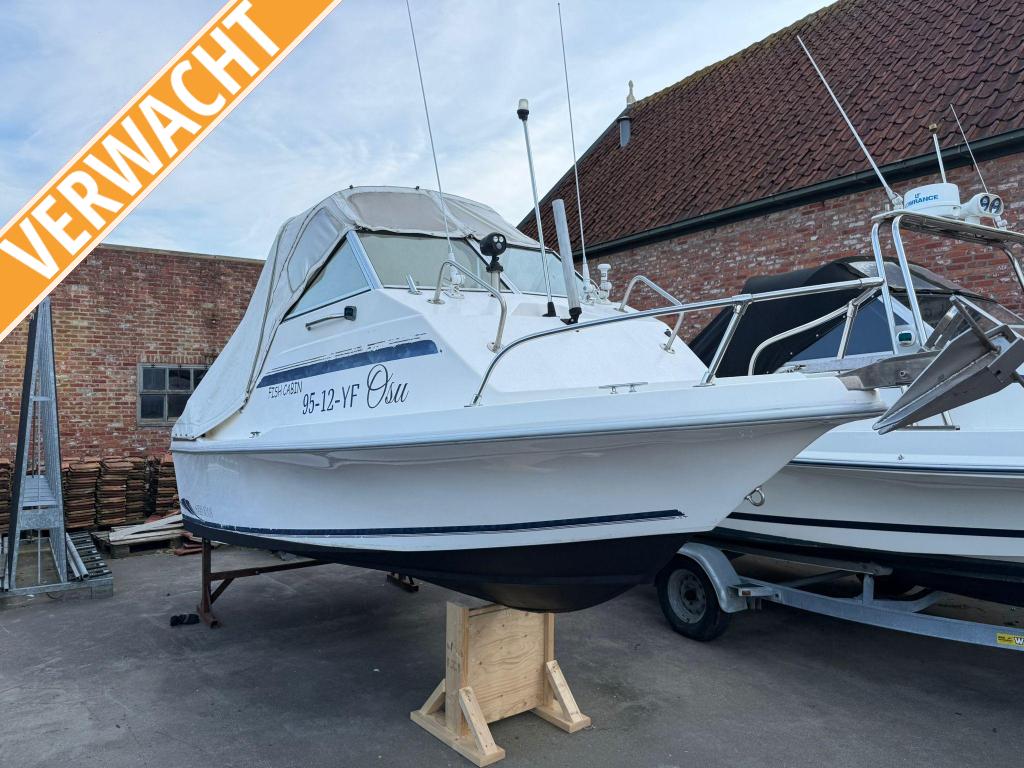 Beekman Beekman Cabin Fish Honda F60, Watersport en Boten, Vis- en Consoleboten, Gebruikt, 3 tot 6 meter, 50 tot 70 pk, Polyester