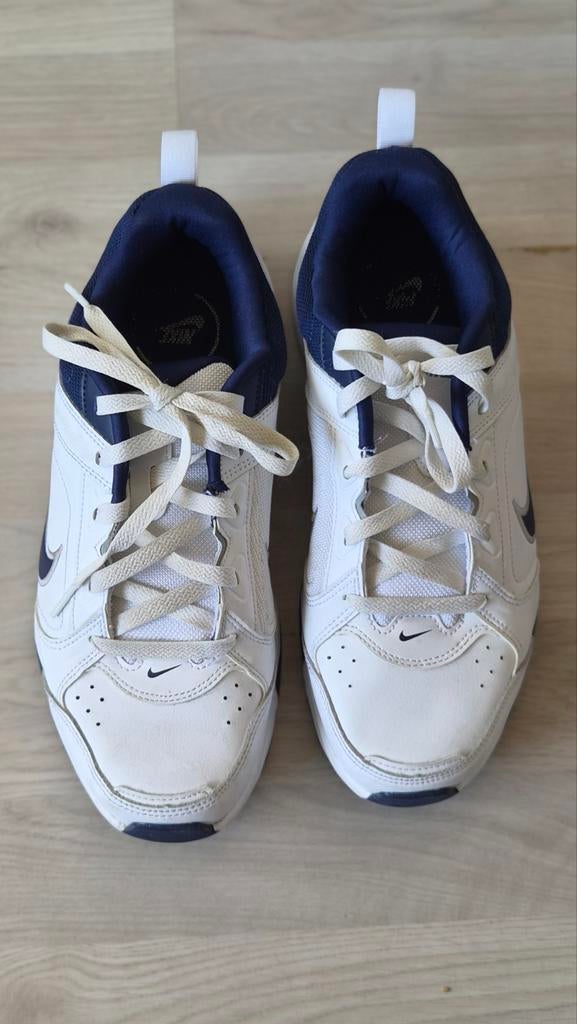 Nike sneakers wit met blauw, maat 42,5, Ophalen of Verzenden, Gedragen, Wit