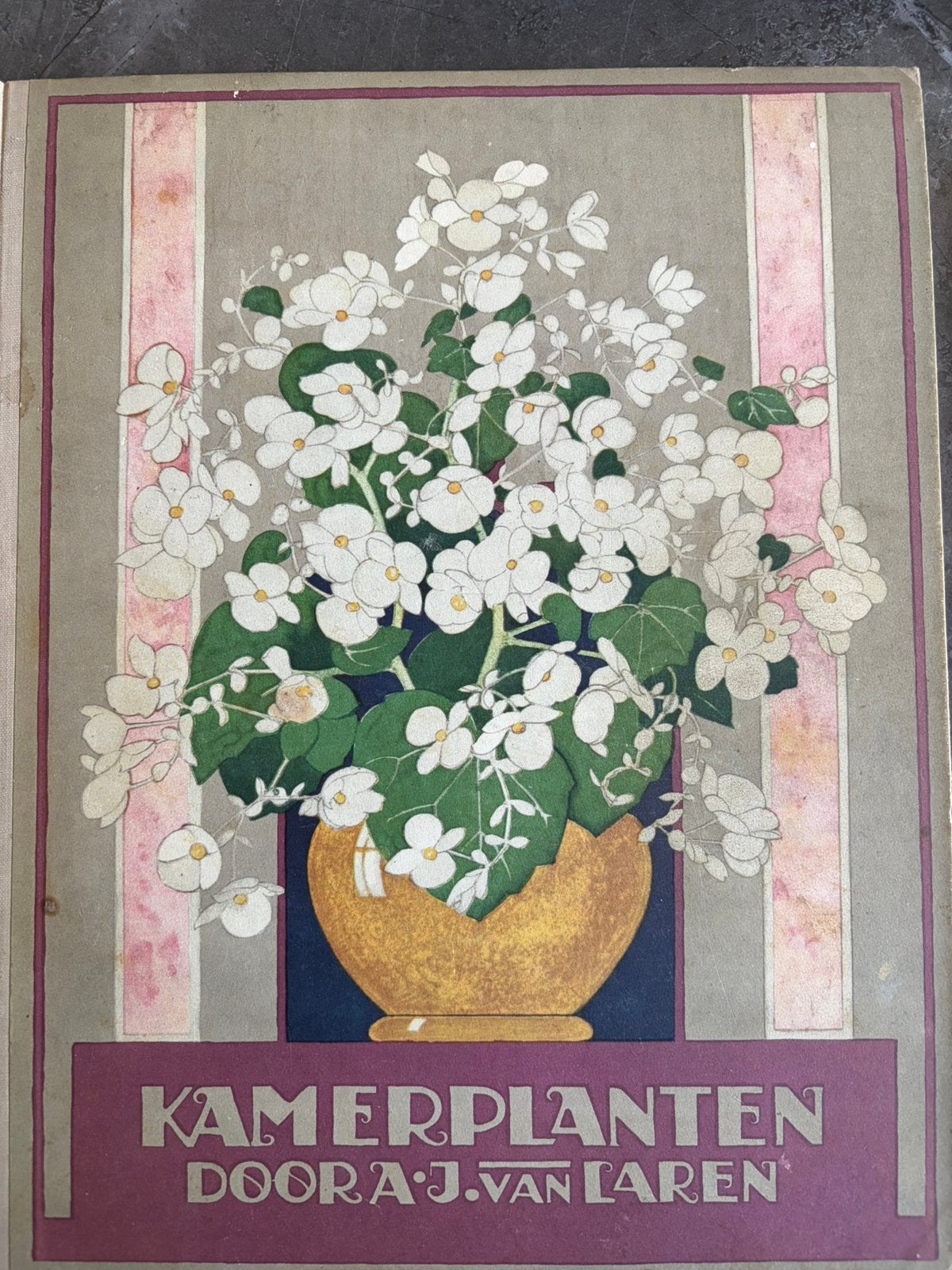 Verkade album Kamerplanten 1928 – compleet – met bijlagen, Ophalen of Verzenden, Gelezen
