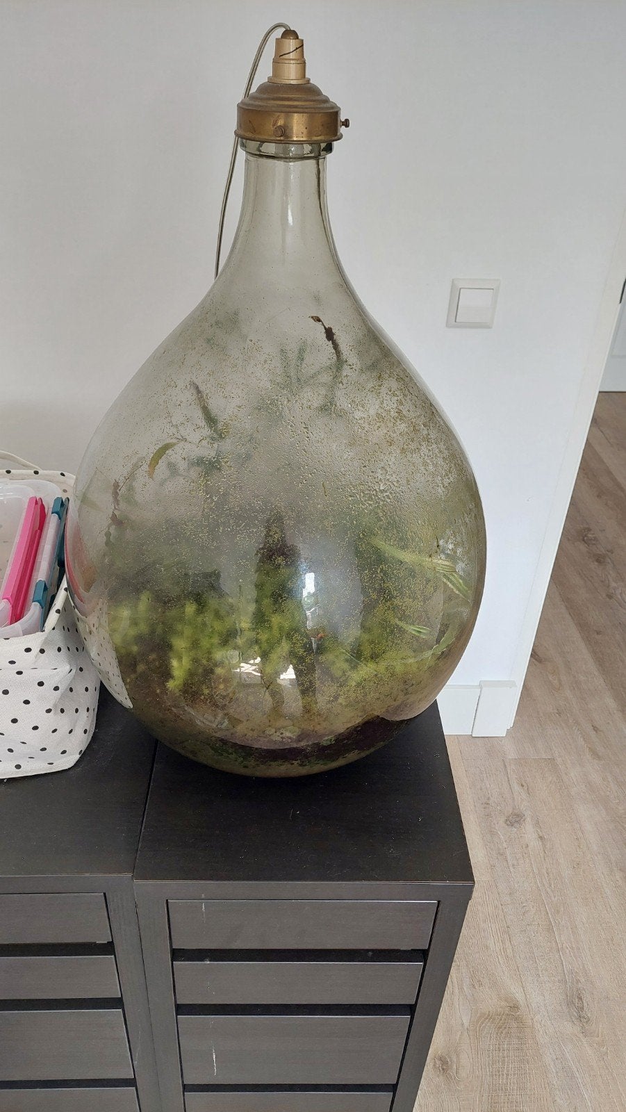 groot ecosysteem met lichtje, Ophalen, Gebruikt