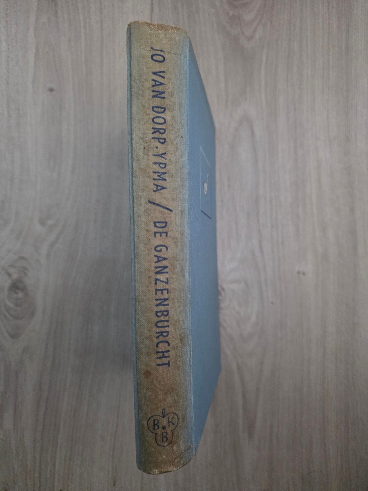 De Ganzenburcht - Jo van Dorp-Ypma (Bosch & Keuning), Boeken, Ophalen of Verzenden, Gelezen, Jo van Dorp-Ypma, Nederland