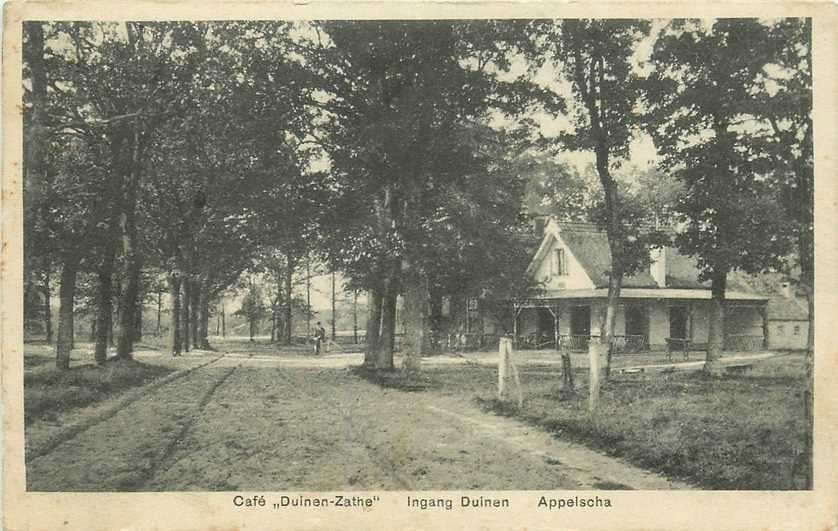 380-781-003 Appelscha Cafe Duinen-Zathe, Verzenden, Voor 1920, Friesland