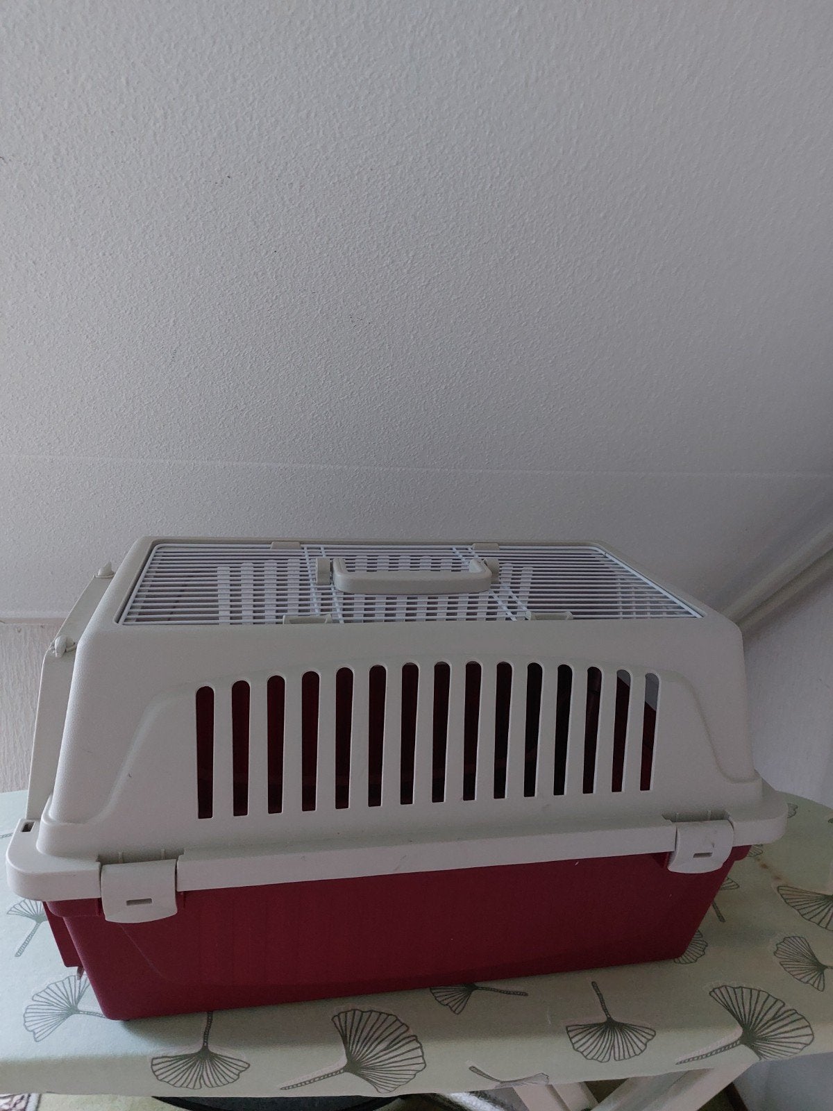 Katten reismand, Dieren en Toebehoren, Ophalen