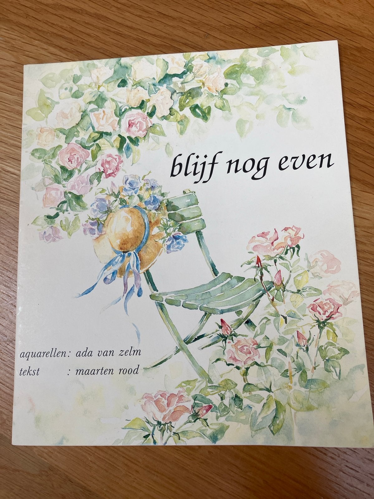 Blijf nog even - Ada van Zelm & Maarten Rood (1990), Ophalen of Verzenden, Zo goed als nieuw, Nederland