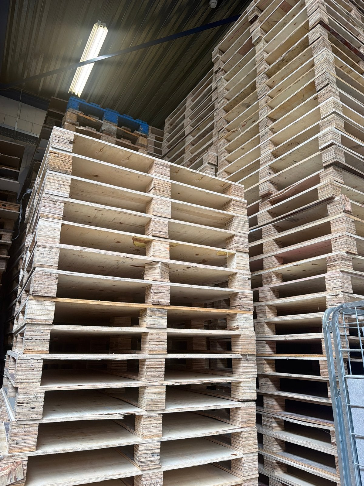 GRATIS! 200x Pallets 108x108 cm | Grote partij, Ophalen