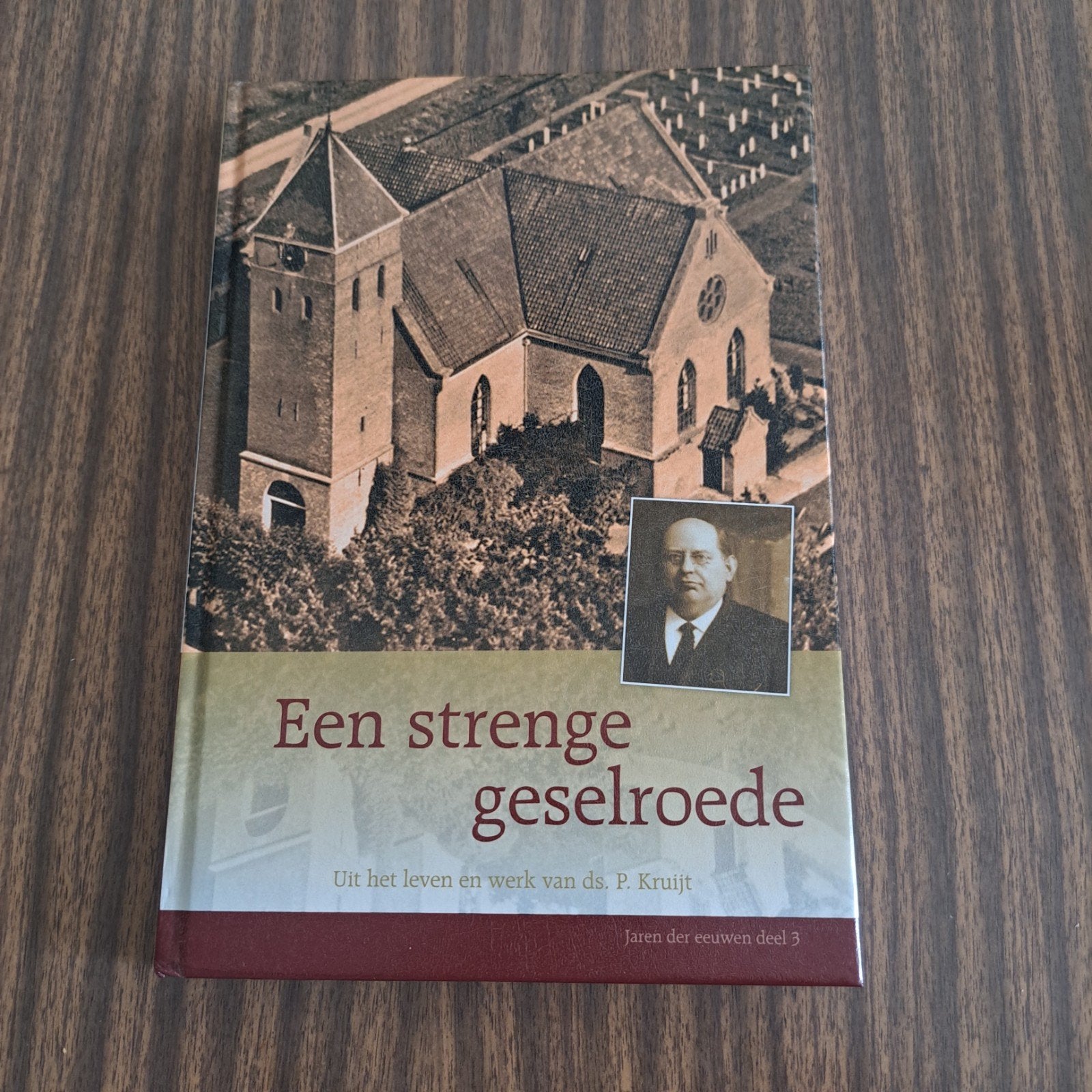 Een strenge geselroede, H. Hille, Christendom | Katholiek, Ophalen of Verzenden, Zo goed als nieuw