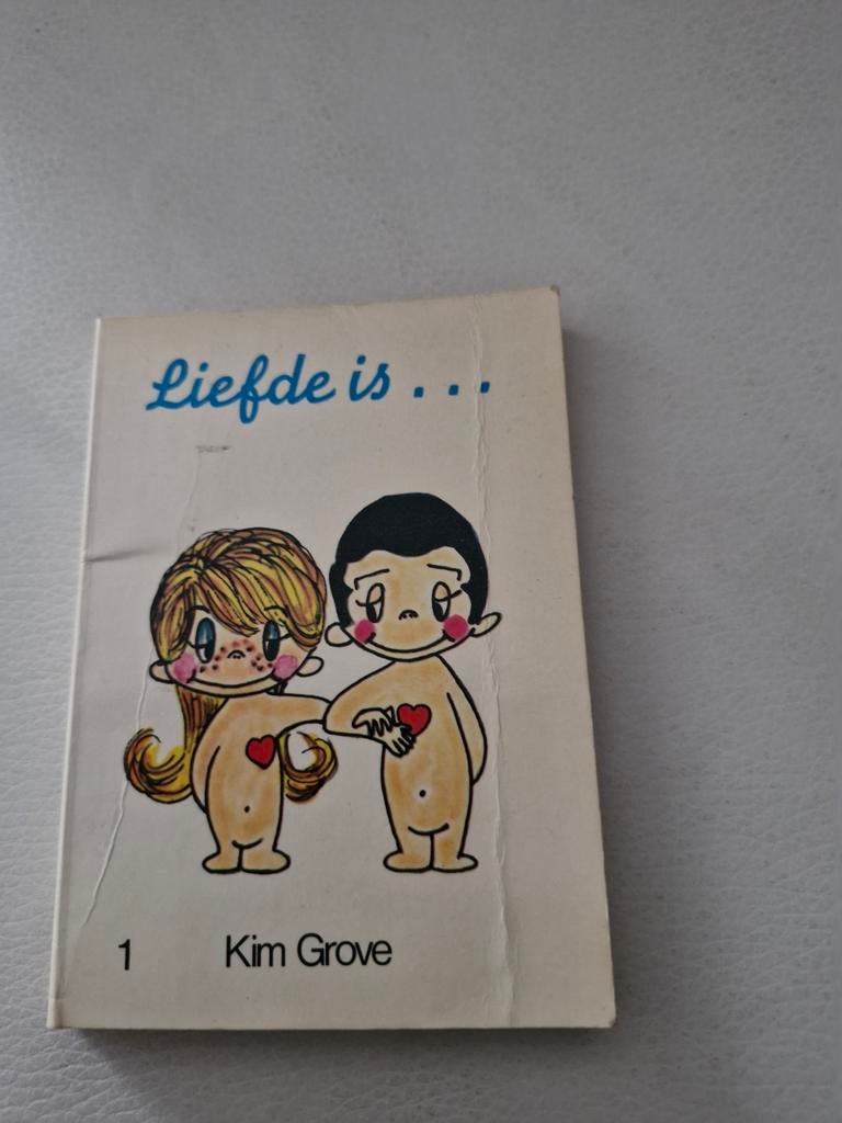 Liefde is... deel 1 - Kim Grove (Vintage Boekje), Ophalen of Verzenden, Gelezen, Kim Grove, Amerika
