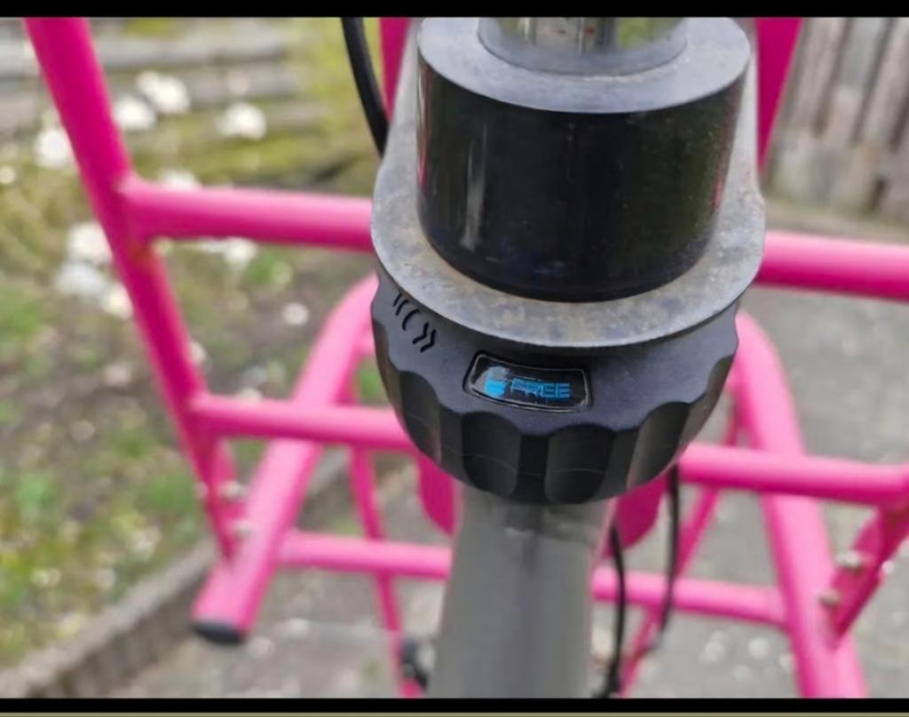 Spirit Cargo damesfiets met Roze Details en Fietstassen, Terugtraprem, Versnellingen, Ophalen, Overige merken