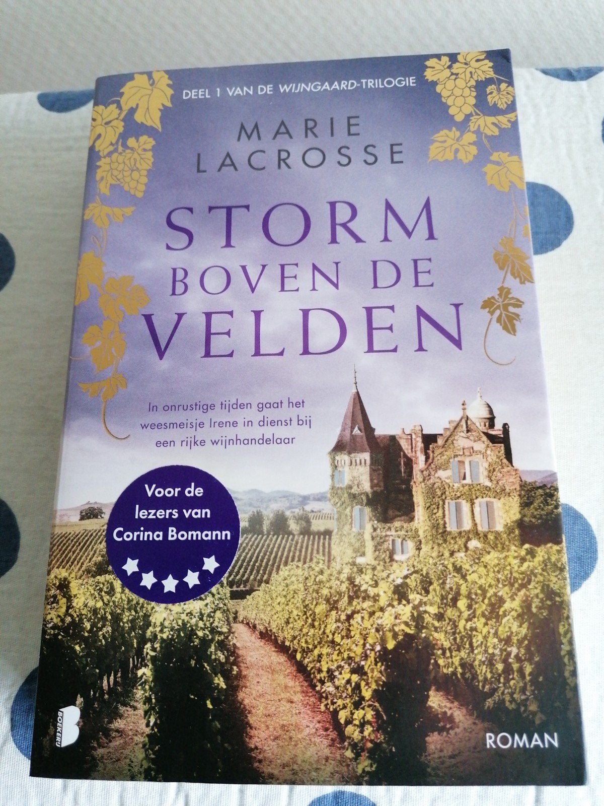 Storm boven de Velden - Marie Lacrosse, Ophalen of Verzenden, Zo goed als nieuw, Marie Lacrosse