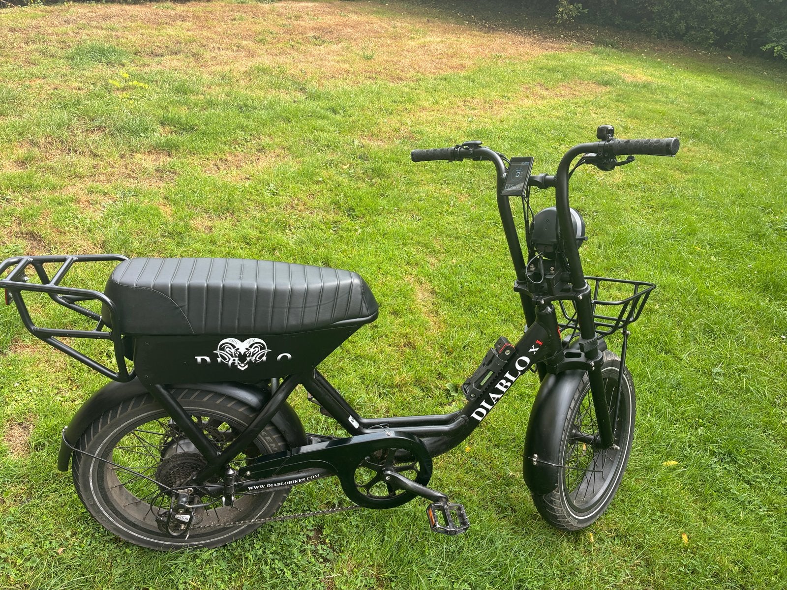 Troy Diablo X1 E-bike (sept 2023), Ophalen, Gebruikt, Overige merken