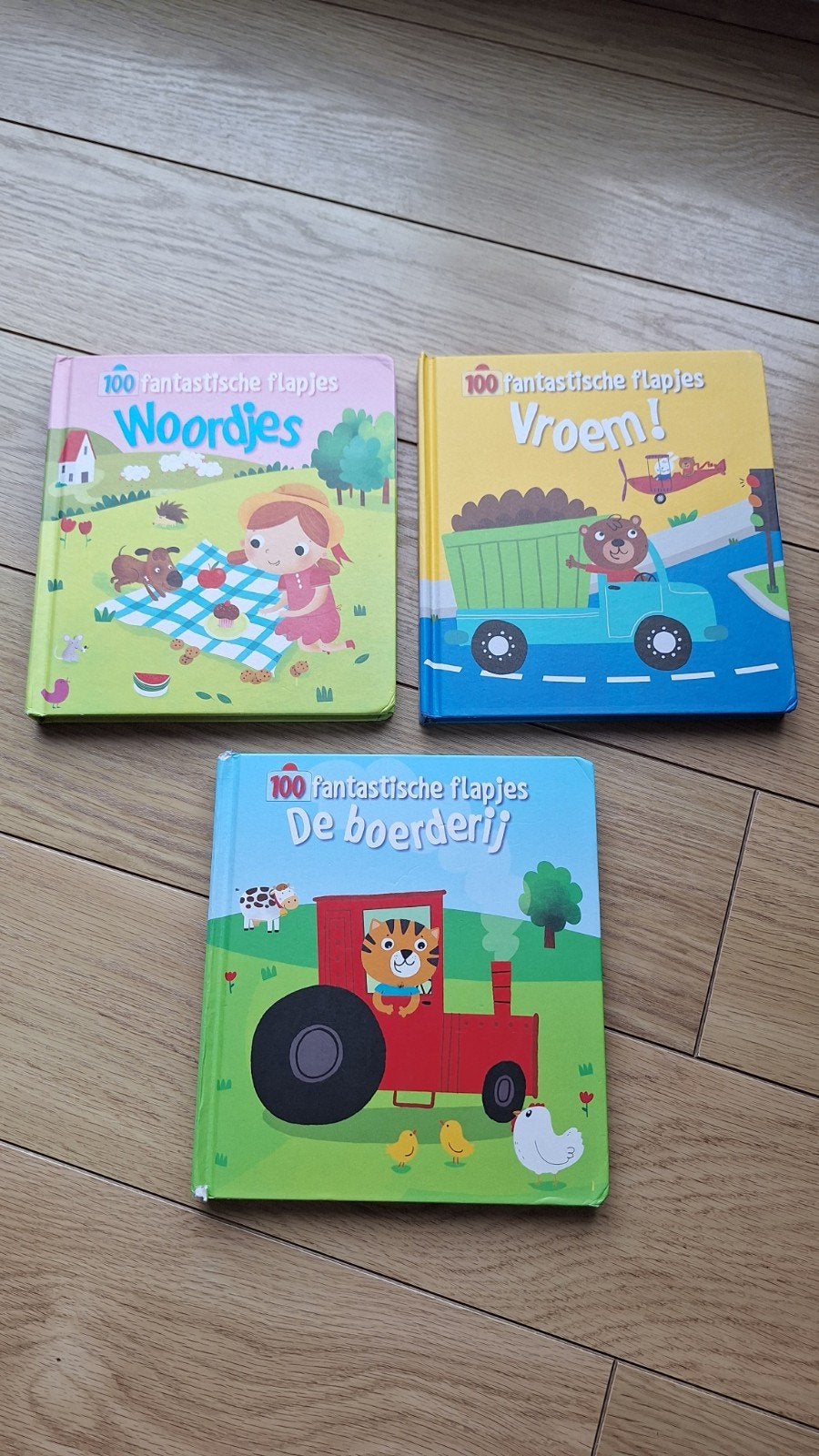 3x 100 fantastische flapjes boeken, Ophalen of Verzenden, Gelezen