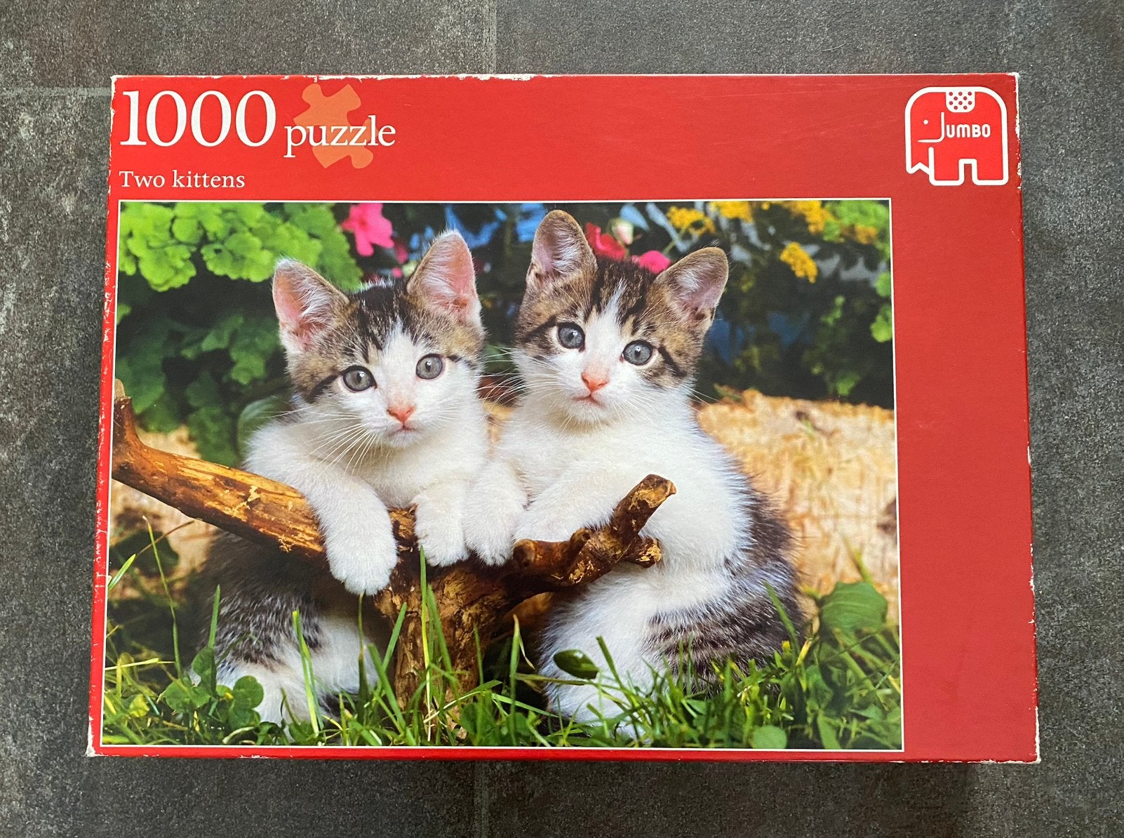 Puzzel 1000 stukjes, Ophalen of Verzenden, 500 t/m 1500 stukjes, Zo goed als nieuw, Legpuzzel