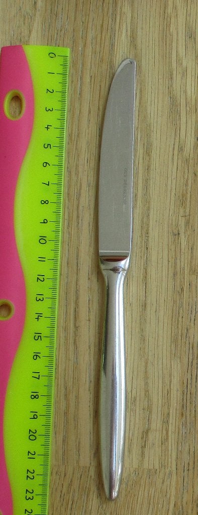 Guy degrenne Nice? 23cm 100gram nette staat, Ophalen of Verzenden, Gebruikt, Rvs of Chroom