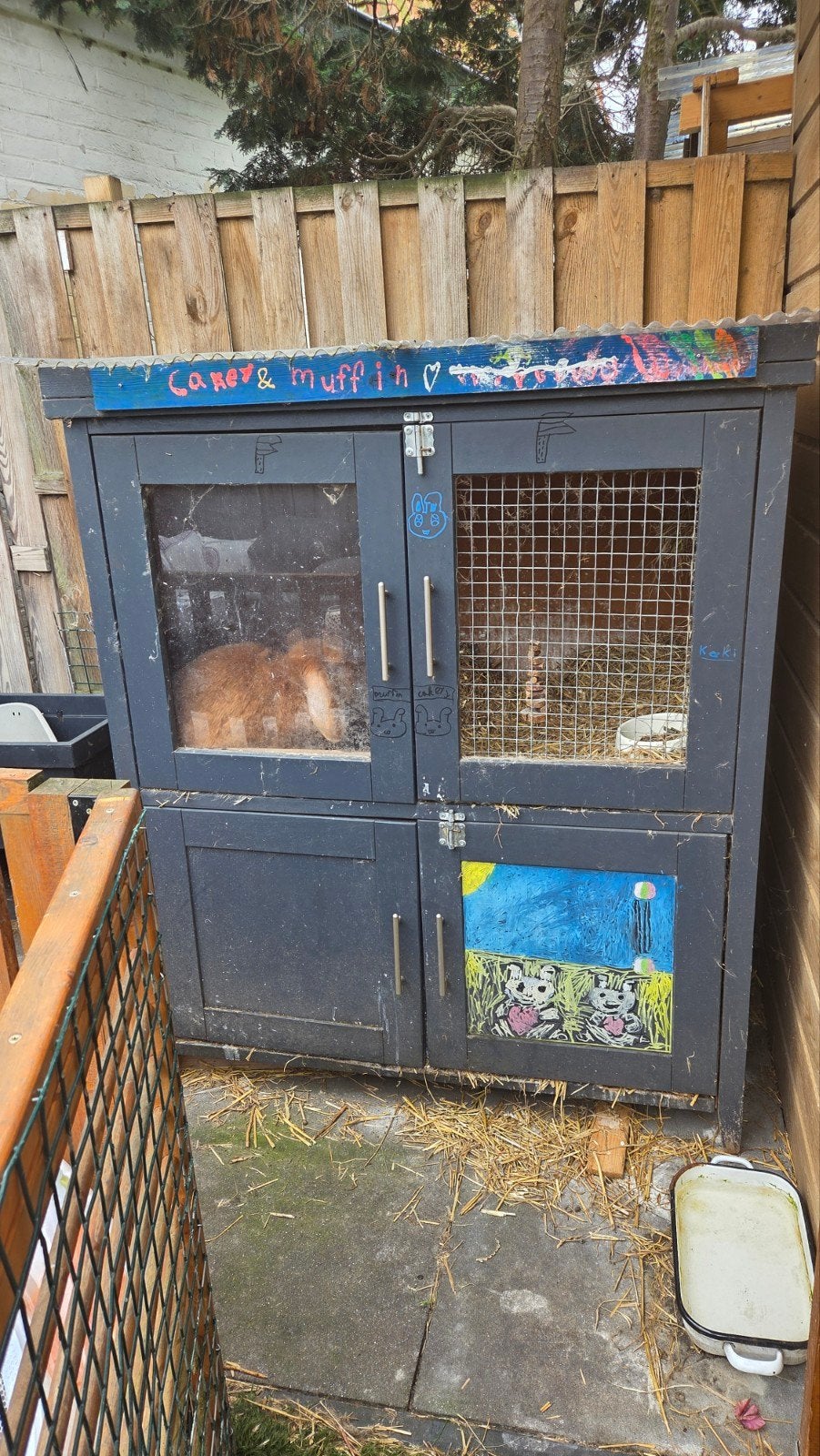 Gratis konijnen hok, Ophalen, 90 cm of meer, Konijn, Hok