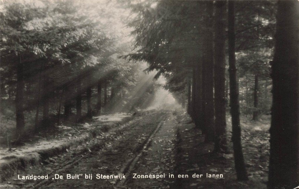 Landgoed De Bult bij Steenwijk, Ophalen of Verzenden, 1960 tot 1980, Ongelopen, Overijssel