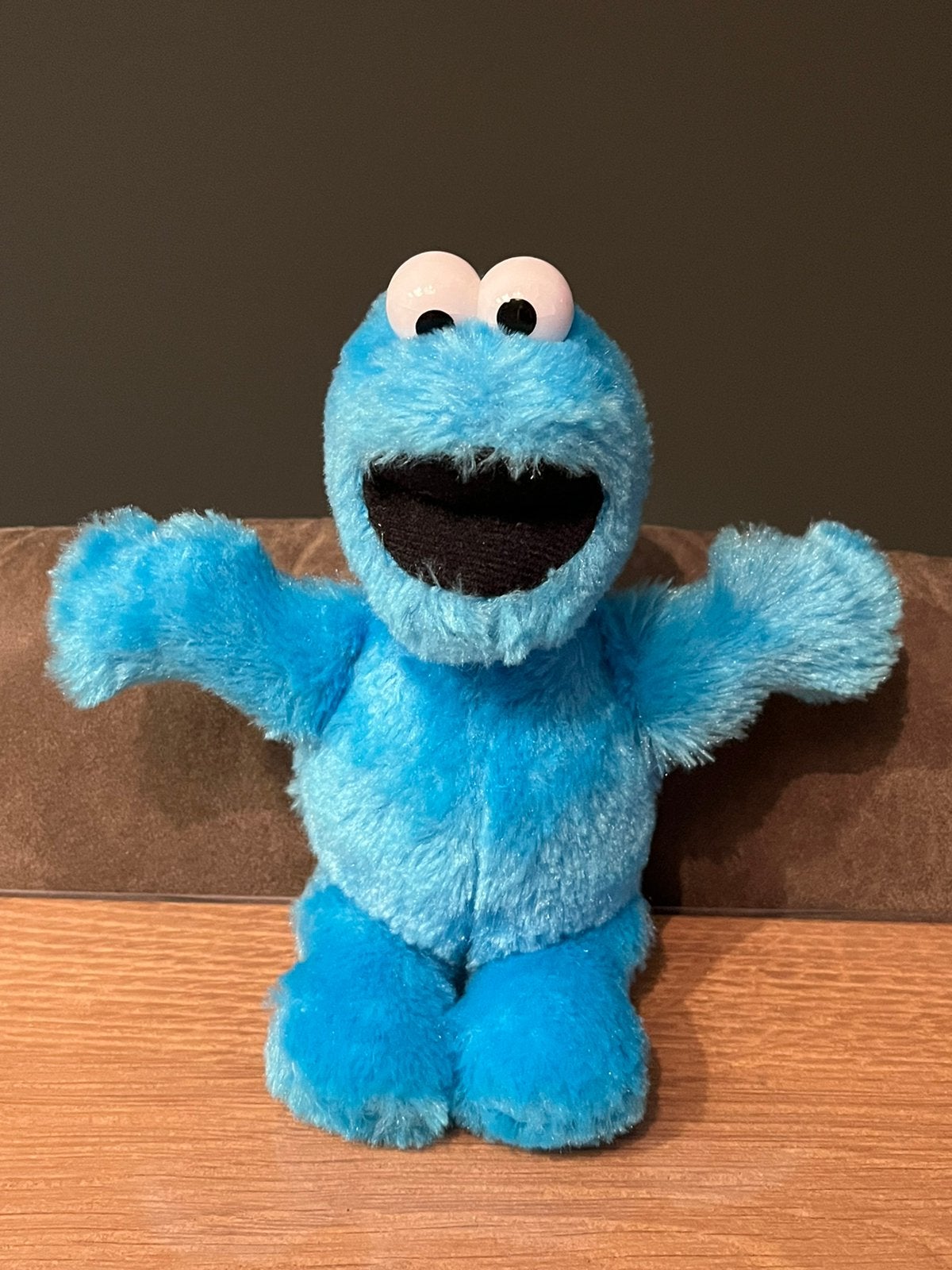 Leuke Koekiemonster Sesamstraat knuffel 22cm, Ophalen of Verzenden, Zo goed als nieuw, Overige typen