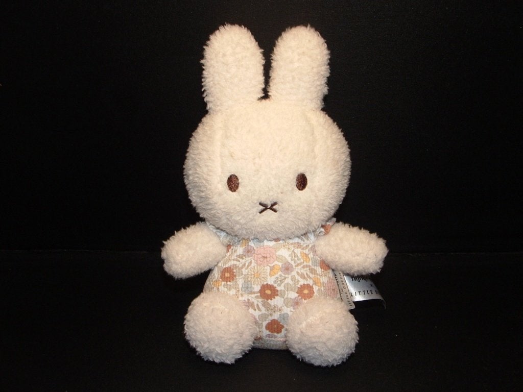 LITTLE DUTCH KONIJN NIJNTJE VAN DICK BRUNA ZACHTE, Kinderen en Baby's, Ophalen of Verzenden, Nieuw, Overige typen
