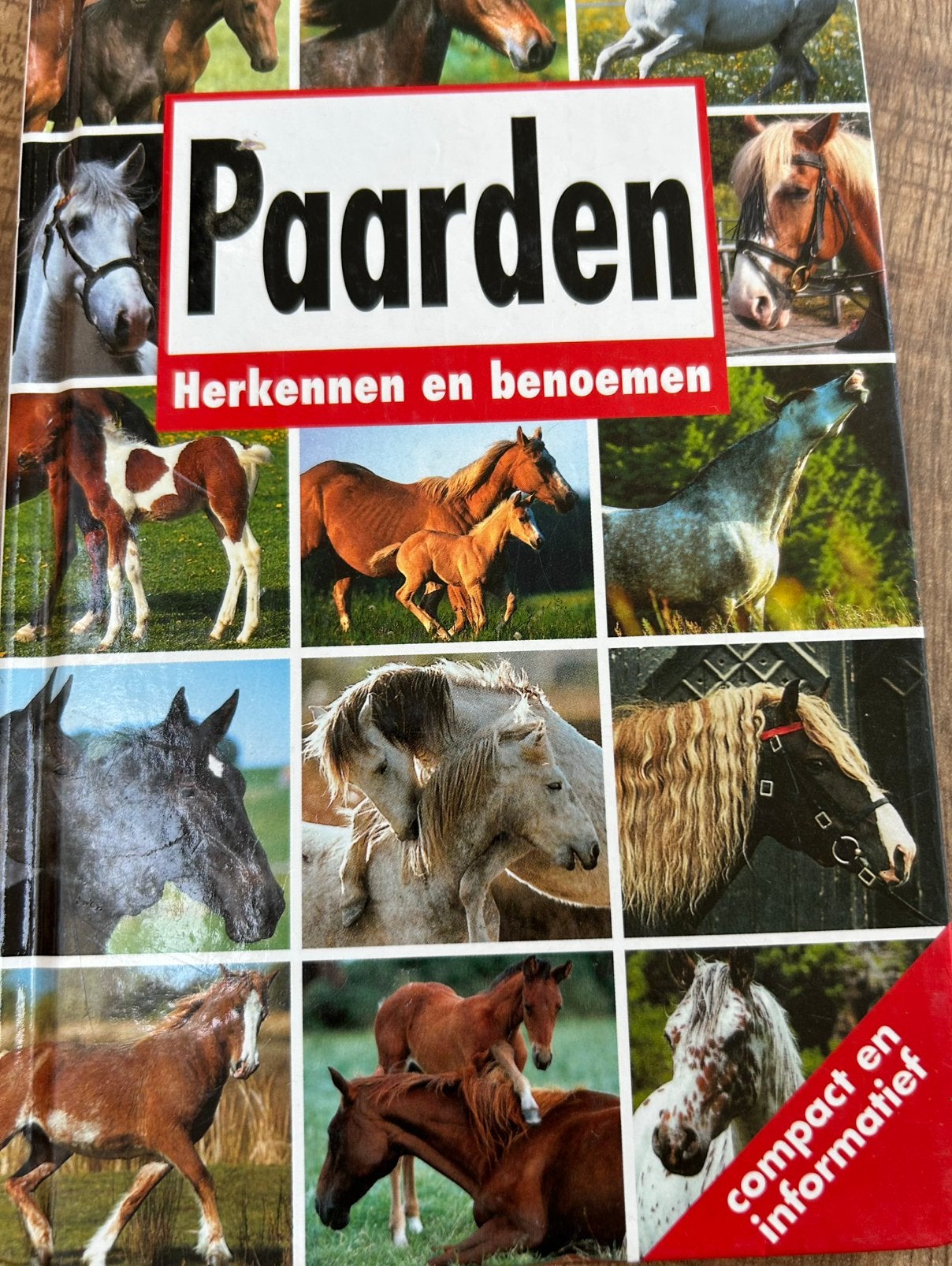 Paarden: Herkennen en Benoemen - Compact en Informatief, Boeken, Ophalen of Verzenden, Gelezen, Paarden of Pony's