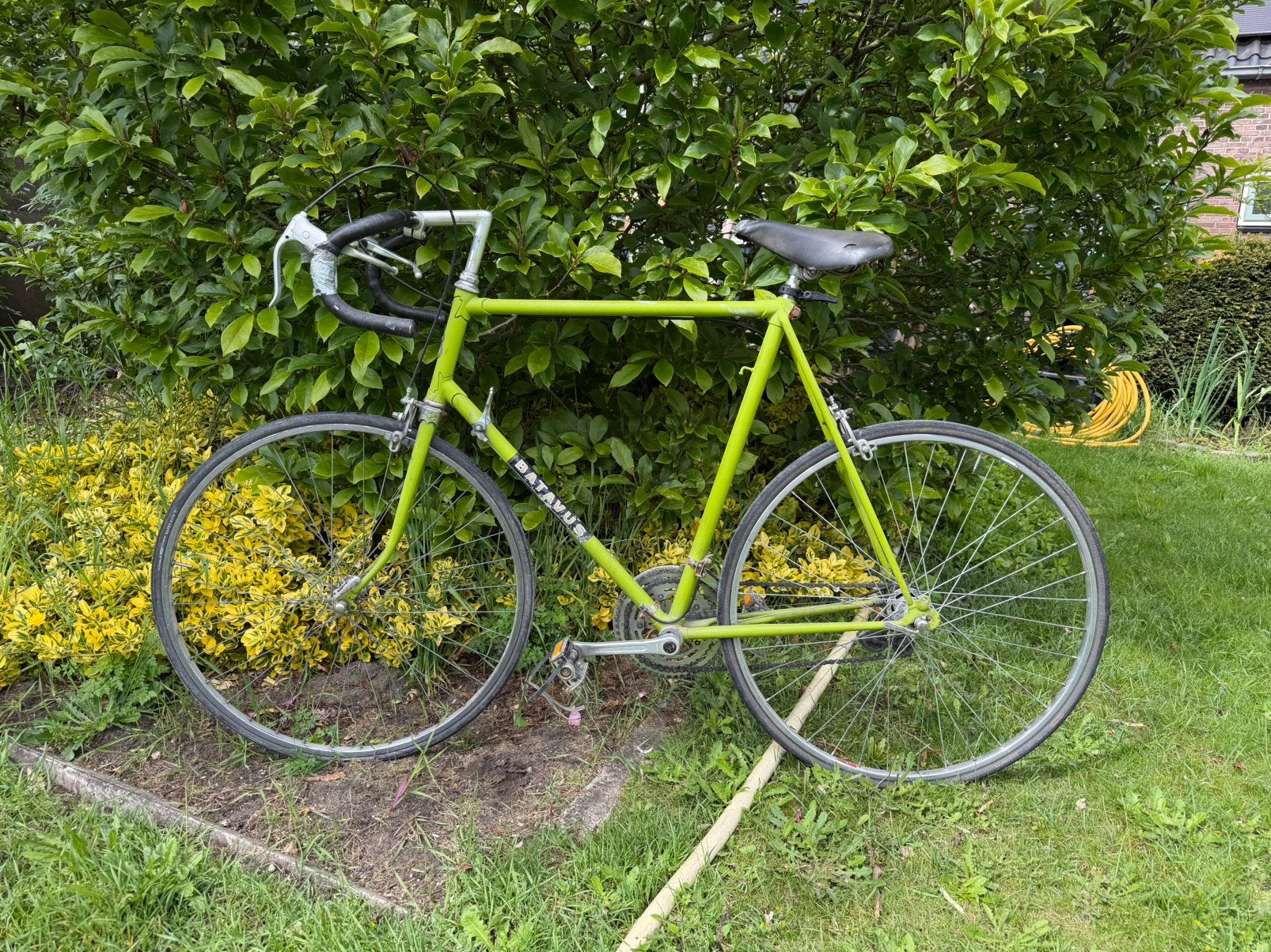 Prachtige vintage batavus koers/race fiets, Fietsen en Brommers, Fietsen | Racefietsen, Ophalen, Batavus, Zo goed als nieuw, 65 cm of meer