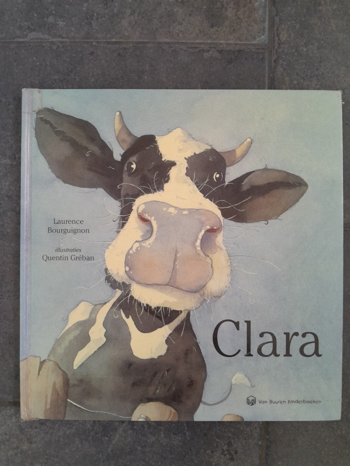 Clara prentenboek ~ Wereld ontdekken ~ Bourguignon, Ophalen of Verzenden, Zo goed als nieuw, Bourguignon, Prentenboek
