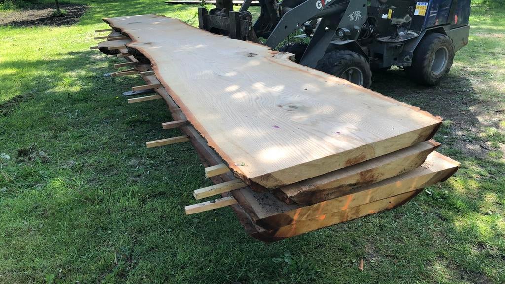 Partij lange eiken houten boomstamplanken, Ophalen, Nieuw, 250 cm of meer, Planken