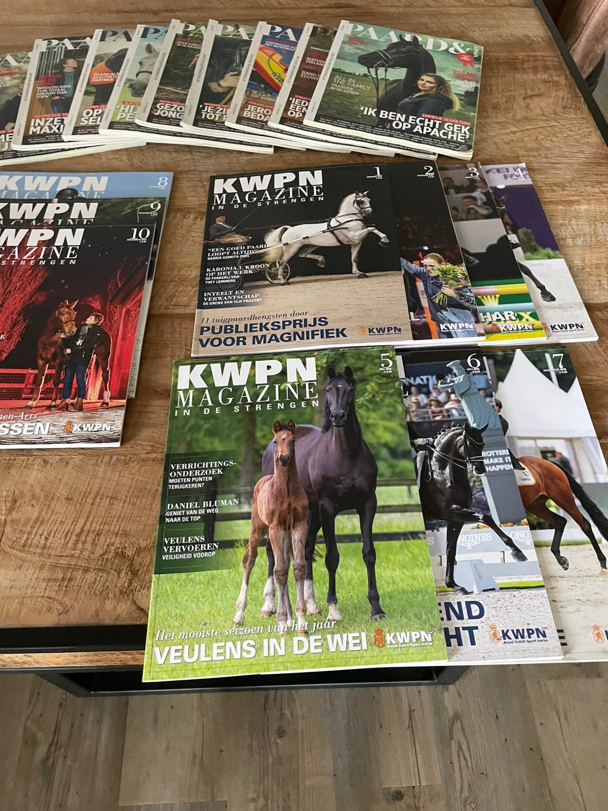 12 KWPN ‘S en 9 Paard&Sport, Ophalen of Verzenden, Nieuw, Sport en Vrije tijd