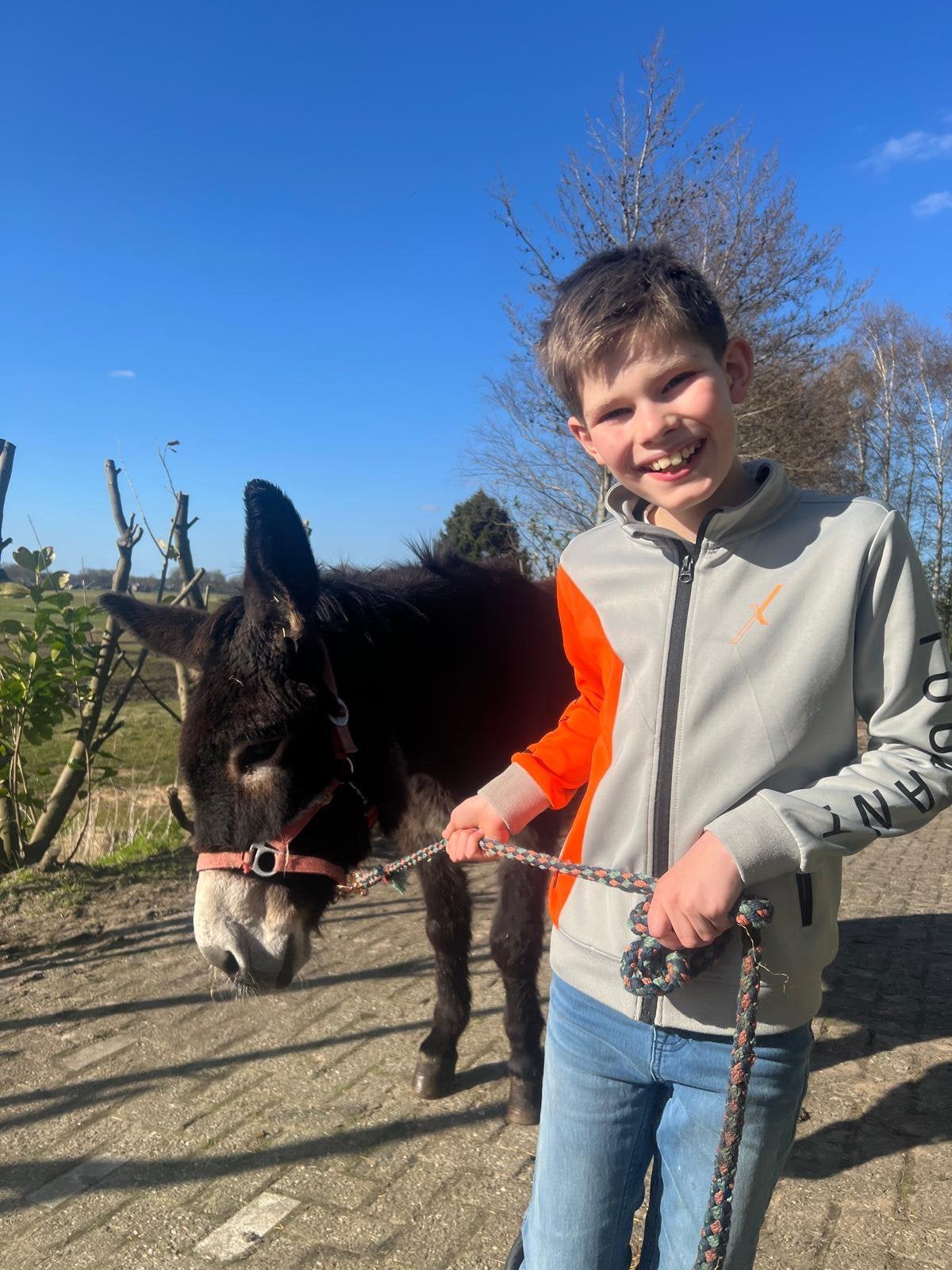 Ezel Borito te koop, Dieren en Toebehoren, Oktober, Vrouwelijk