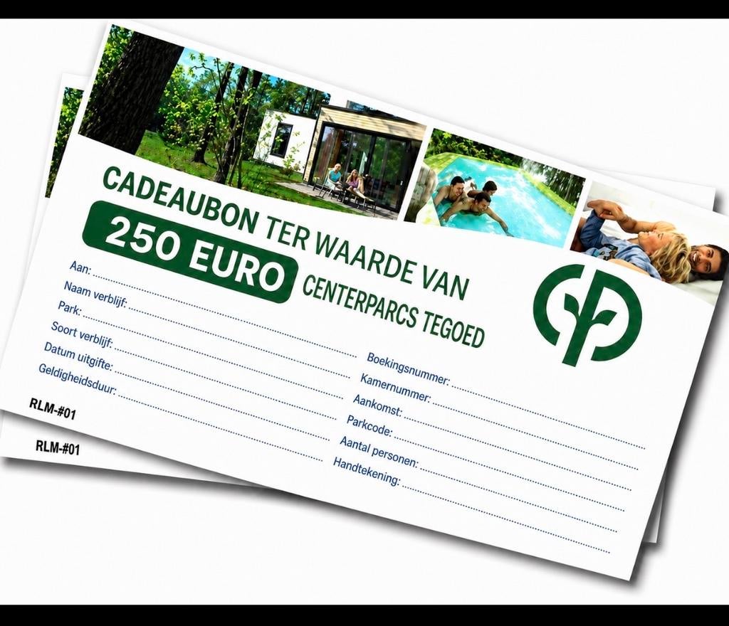Waardebon ter waarde van 250,00 euro. Bieden van af 160,00, Tickets en Kaartjes, Eén persoon, Cadeaubon