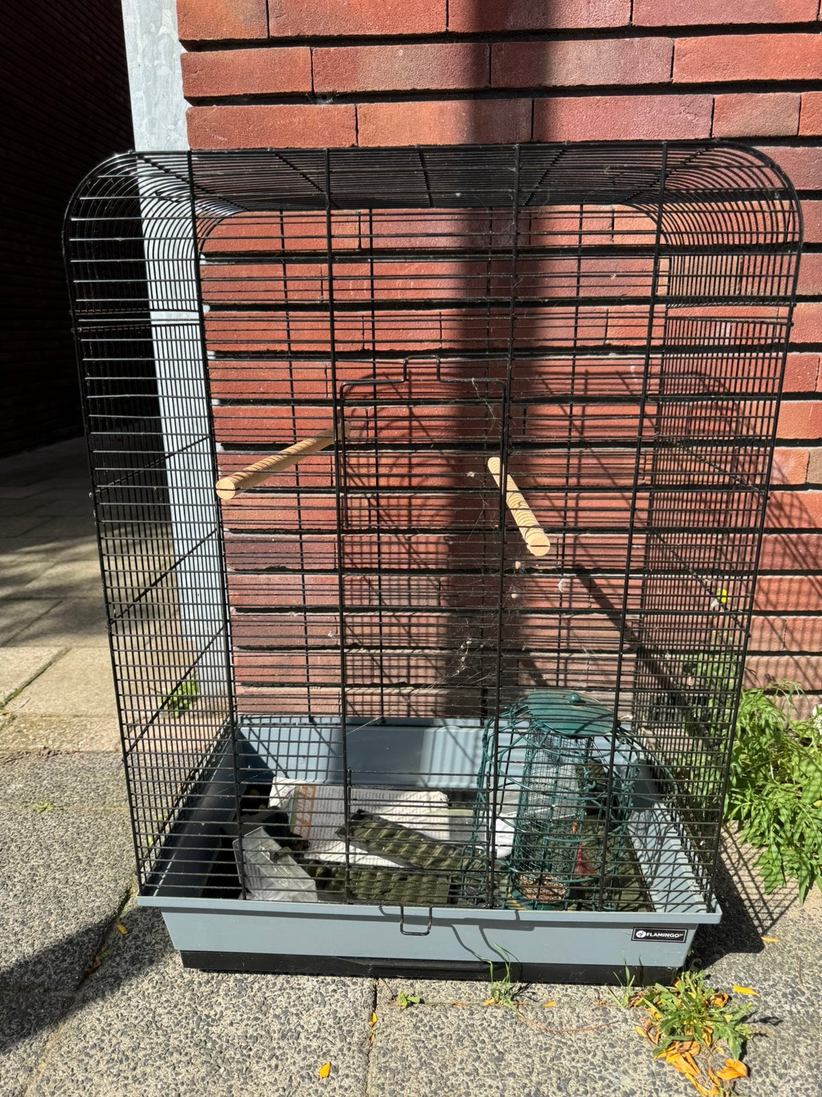 Grote vogelkooi met accessoires, Ophalen, Zo goed als nieuw, Metaal, Vogelkooi