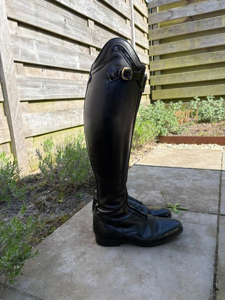 Celeris laarzen maat 40, Ophalen of Verzenden, Zo goed als nieuw, Dressuur, Schoeisel