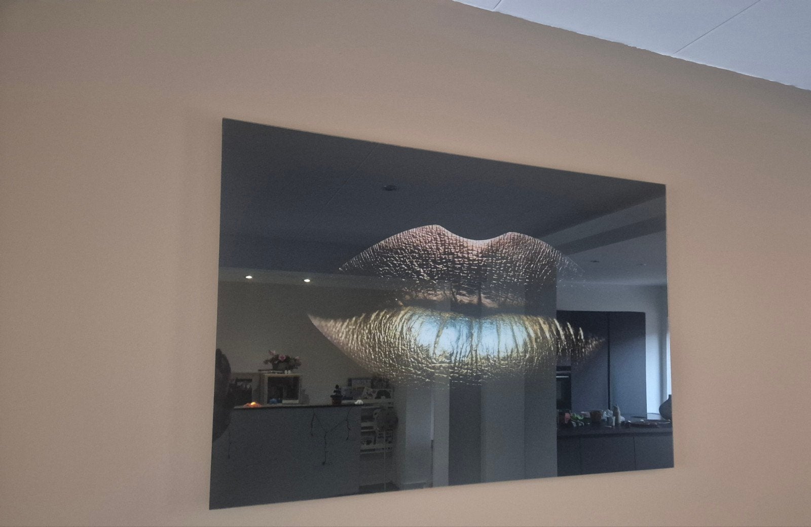 Plexi glas schilderij, Ophalen of Verzenden