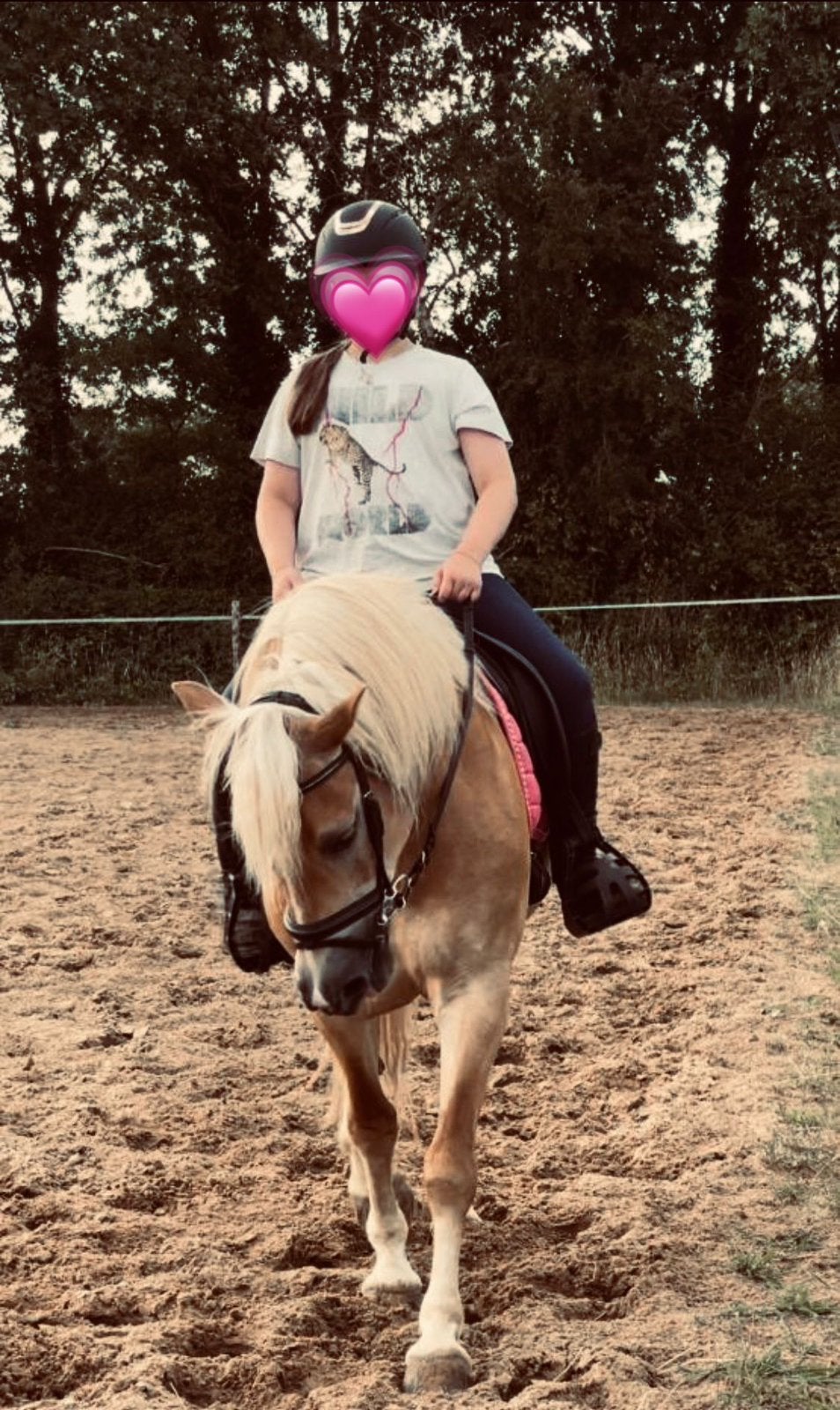 GEZOCHT: VERZORG/BIJRIJDPONY, Dieren en Toebehoren, Ophalen