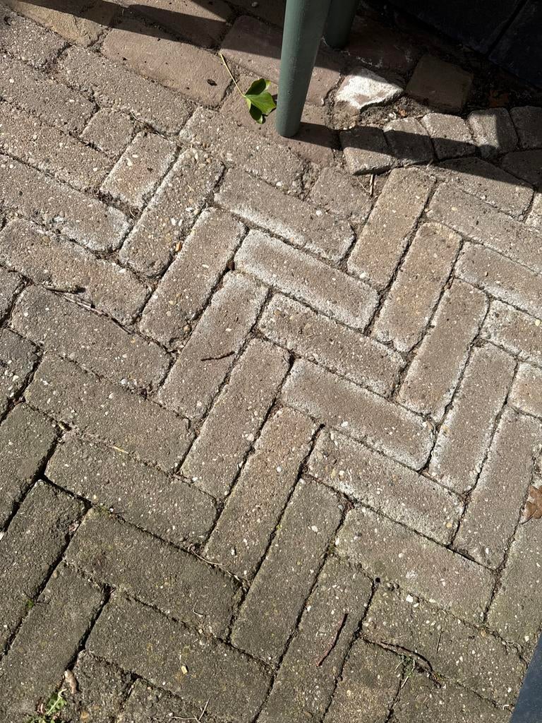 Gratis: dikformaat bonte kleurklinkers, ongeveer 9m2, Ophalen, Gebruikt, Klinkers, 10 m² of meer