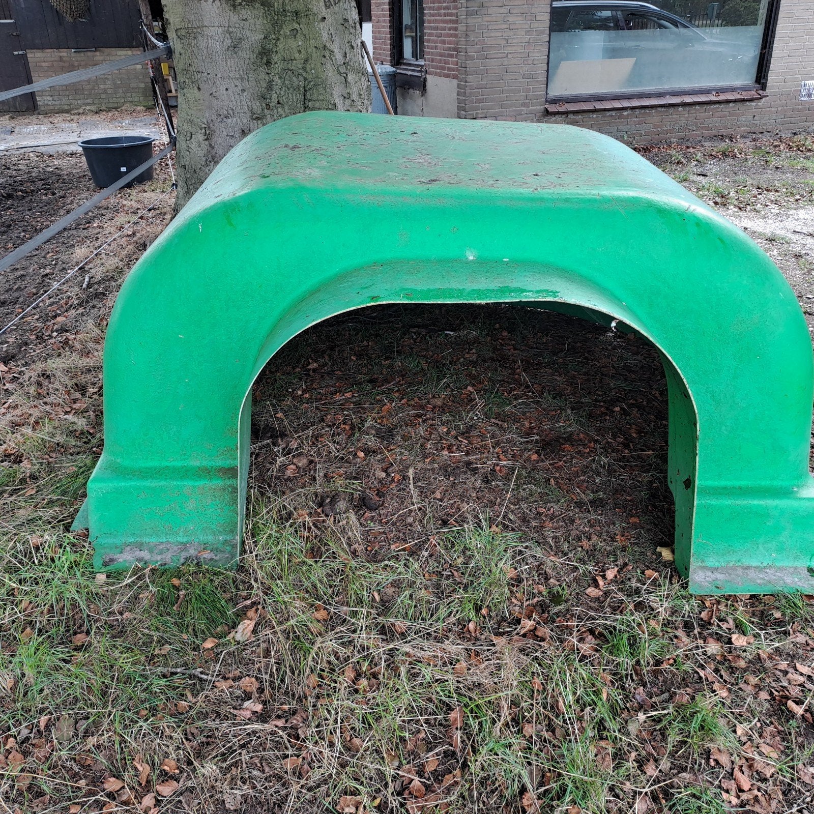 Iglo, Meerdere dieren, Schaap
