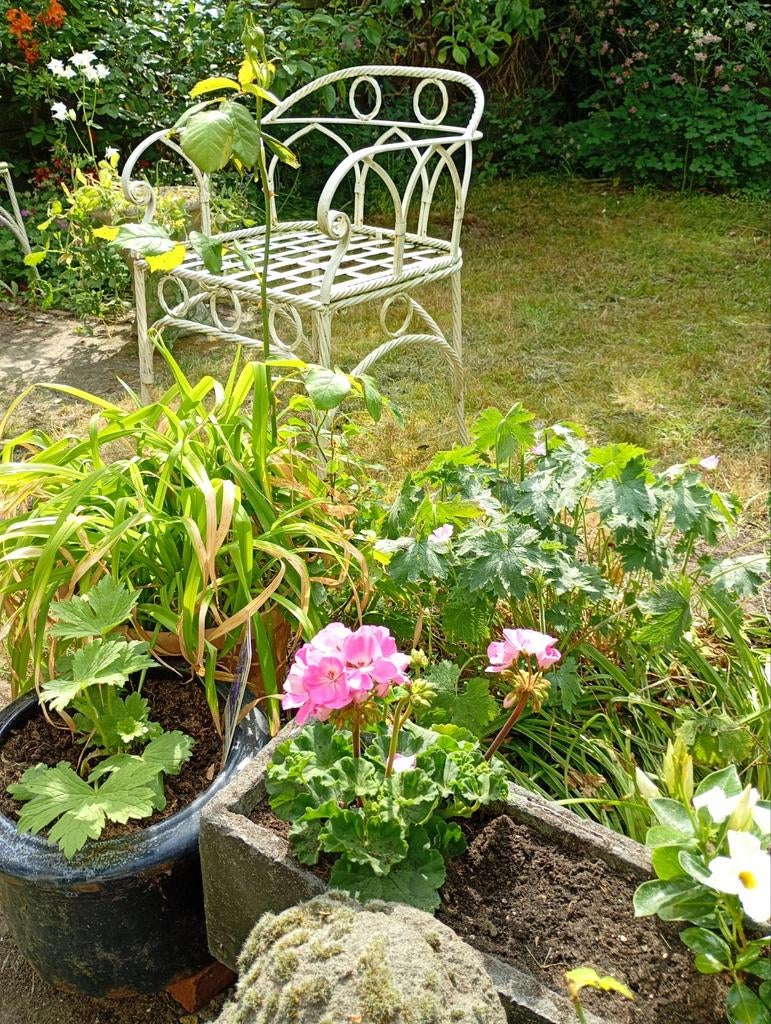 Antieke smeedijzeren tuinstoel  wit, Tuin en Terras, Tuinstoelen, Ophalen of Verzenden, Gebruikt, Metaal
