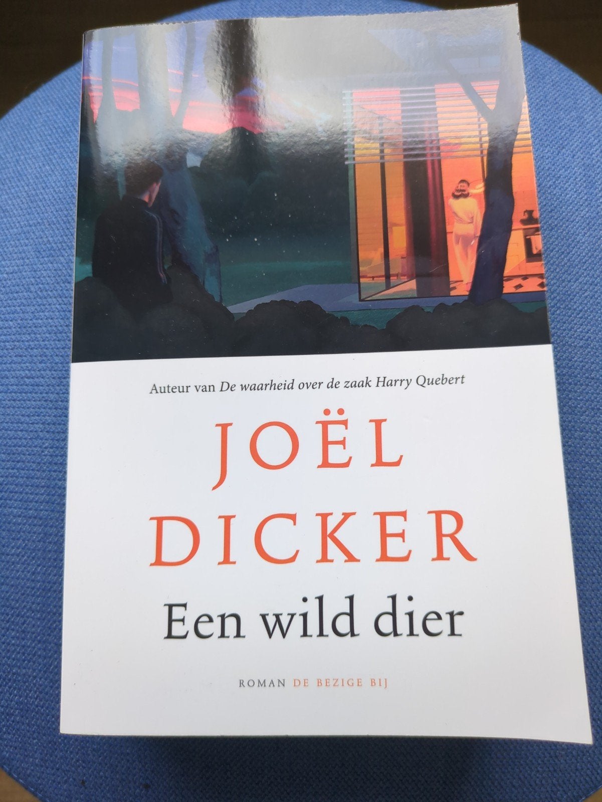 Joël Dicker - Een wild dier (Roman), Ophalen of Verzenden, Zo goed als nieuw, Joël Dicker, Nederland