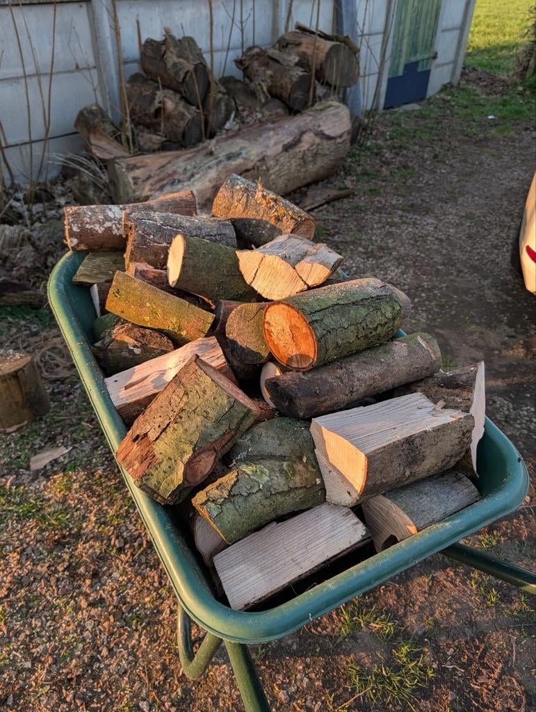 Gekloofd haardhout (essen) in diverse afmetingen, Tuin en Terras, Haardhout, Minder dan 3 m³, Ophalen, Essenhout, Blokken