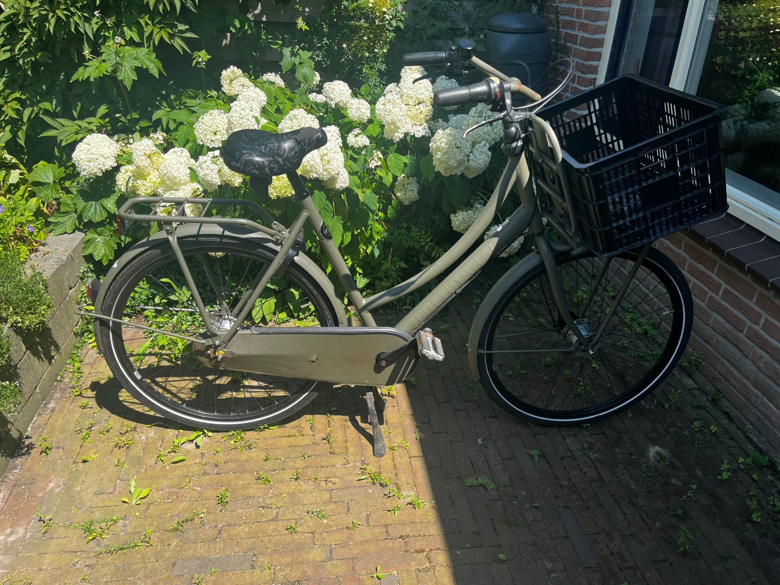 Cortina U4 Transport Raw - legergroen - framemaat 57, Gebruikt, Versnellingen, 56 cm of meer, Schijfrem