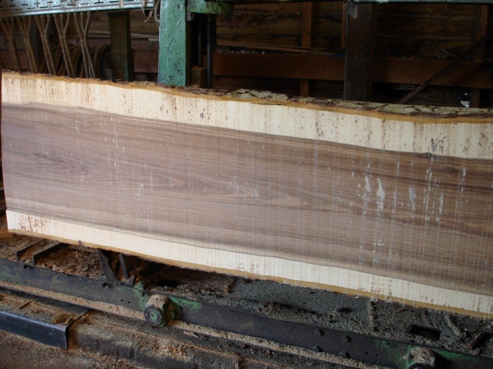 Noten_Peren_Kersen_Pruimen_Linde_es_Esdoorn_Kastanje_Acacia, Ophalen, Nieuw, Plank, Overige houtsoorten