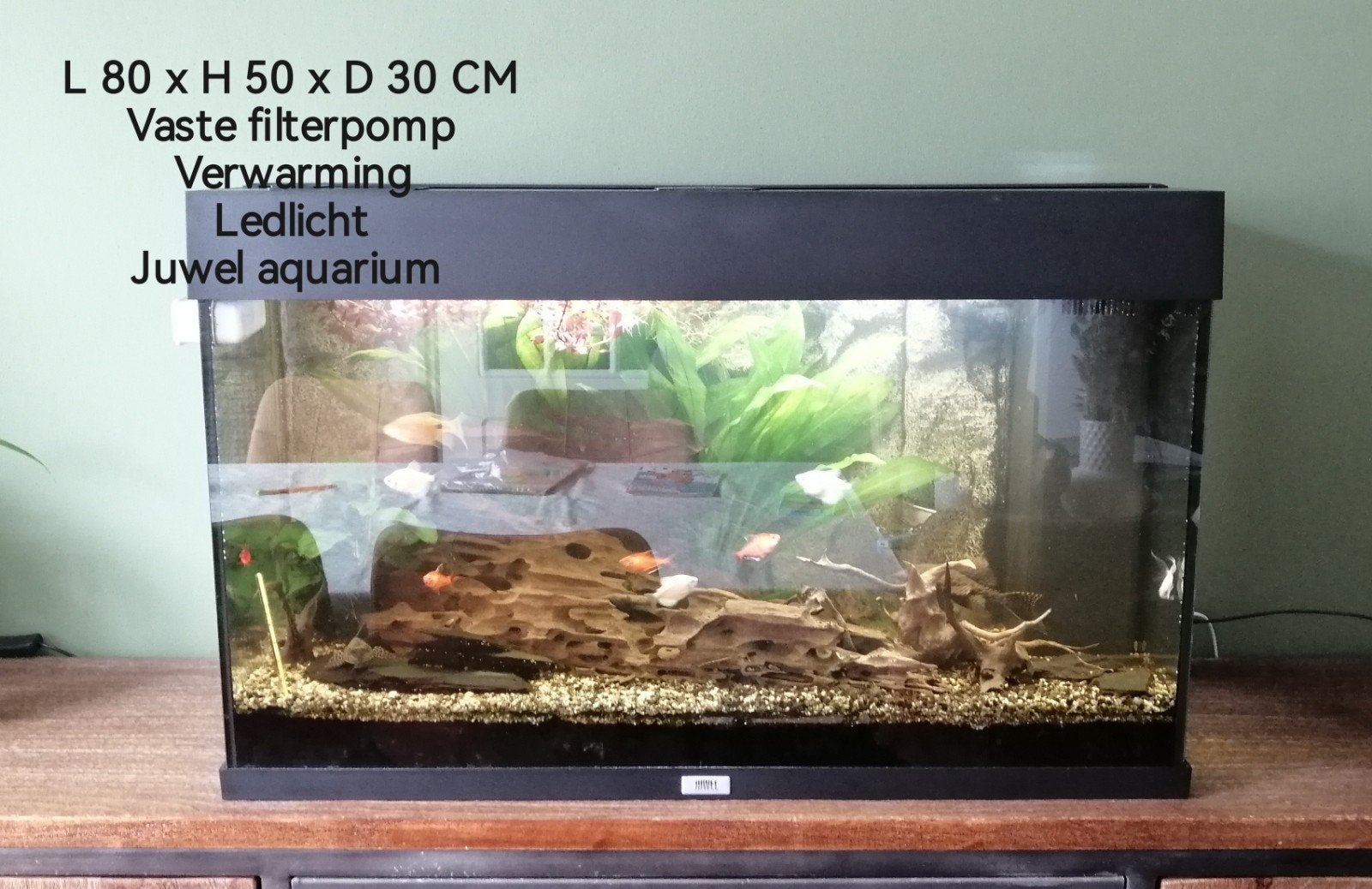 juwel aquarium, met vissen, garnalen etc., Ophalen, Gebruikt, Gevuld zoetwateraquarium, Verwarming