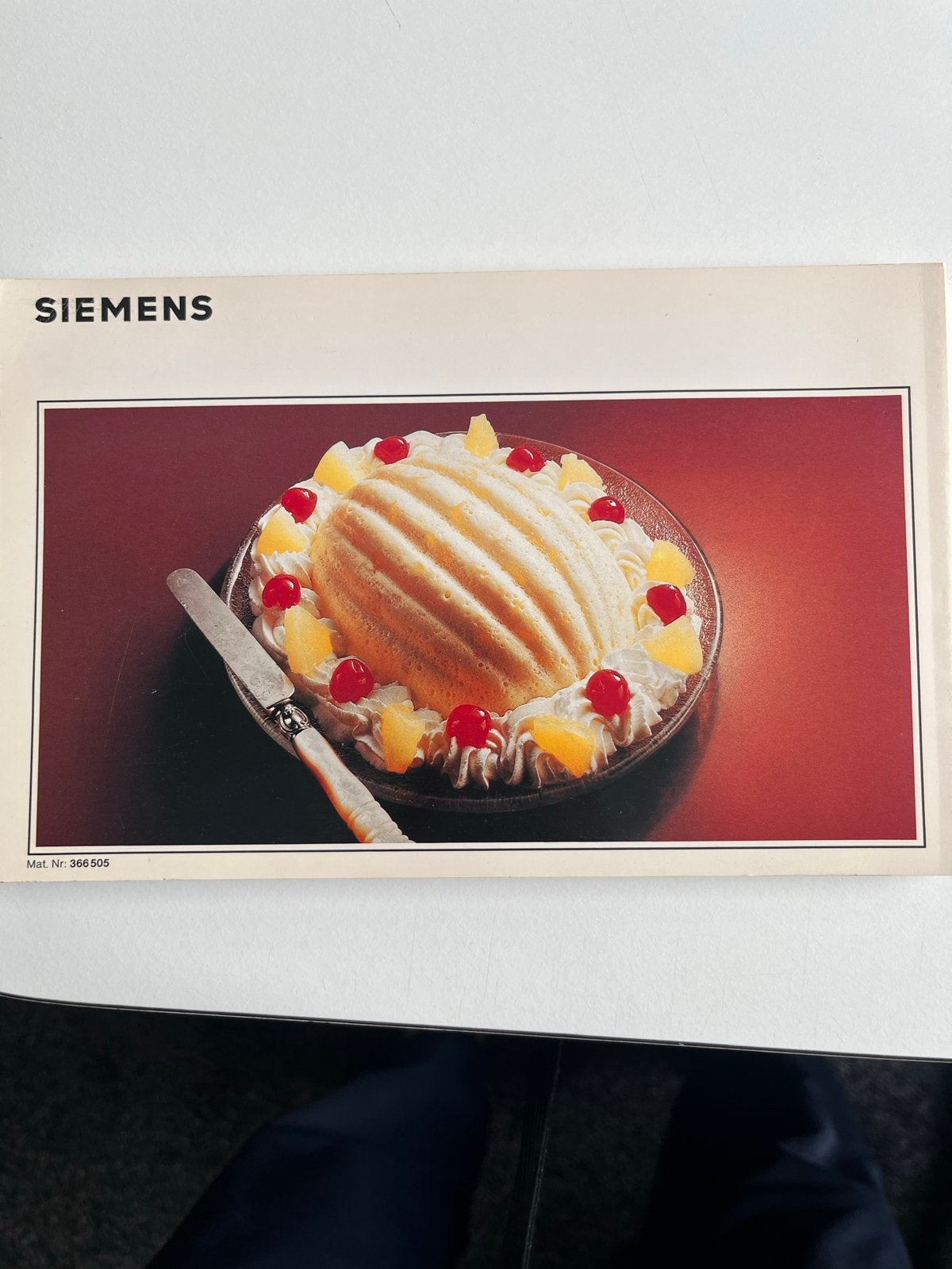 Siemens magnetron kookboek: Die neue Art zu kochen, Ophalen of Verzenden, Gelezen, Overige gebieden, Hoofdgerechten