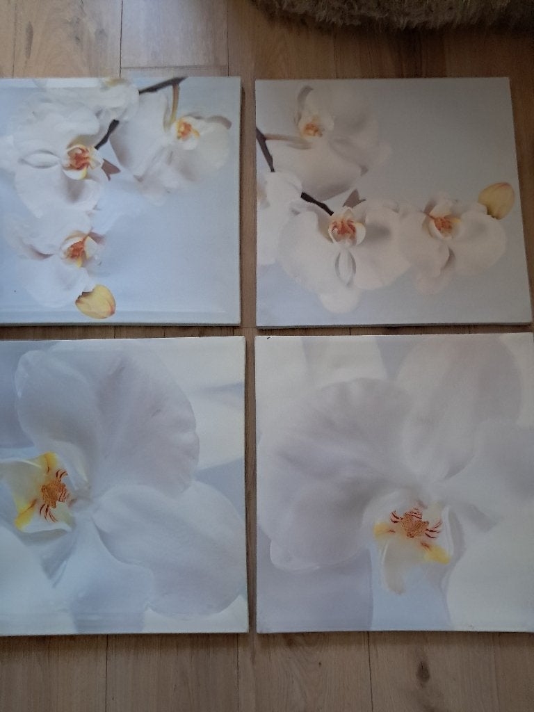 Schilderijen , Gratis, Ophalen, Bloemen